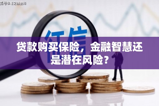 鸡冠贷款购买保险，金融智慧还是潜在风险？