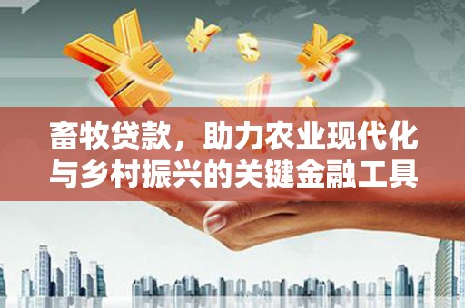 鸡冠畜牧贷款，助力农业现代化与乡村振兴的关键金融工具