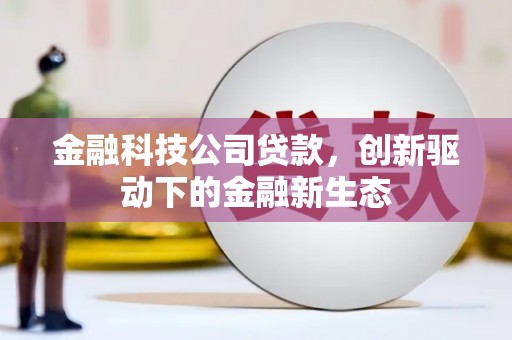 鸡冠金融科技公司贷款，创新驱动下的金融新生态