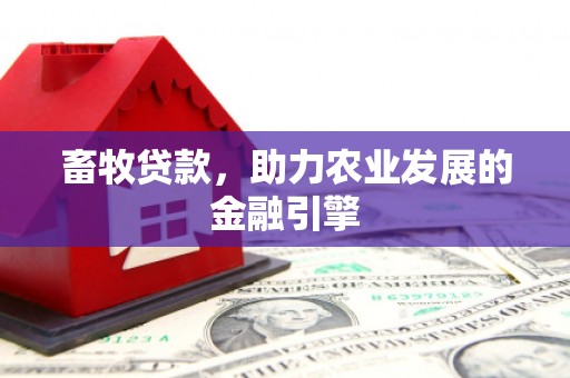 鸡冠畜牧贷款，助力农业发展的金融引擎