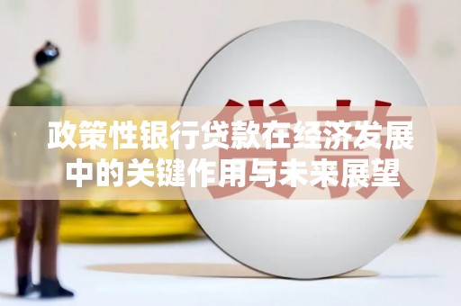 鸡冠政策性银行贷款在经济发展中的关键作用与未来展望