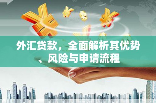 鸡冠外汇贷款，全面解析其优势、风险与申请流程