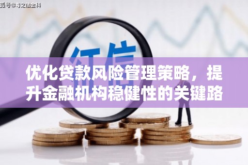 鸡冠优化贷款风险管理策略，提升金融机构稳健性的关键路径