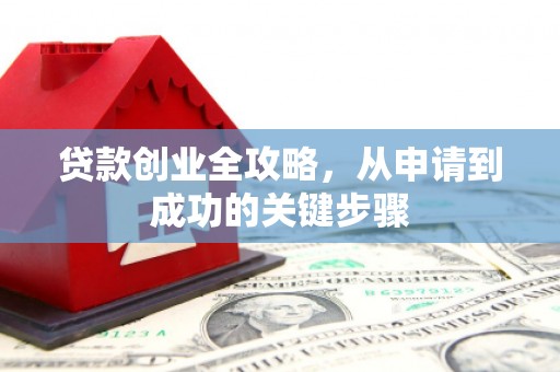鸡冠贷款创业全攻略，从申请到成功的关键步骤
