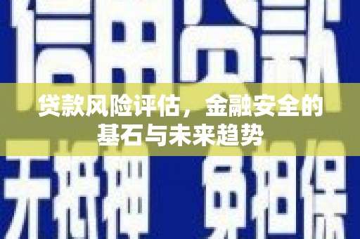 鸡冠贷款风险评估，金融安全的基石与未来趋势