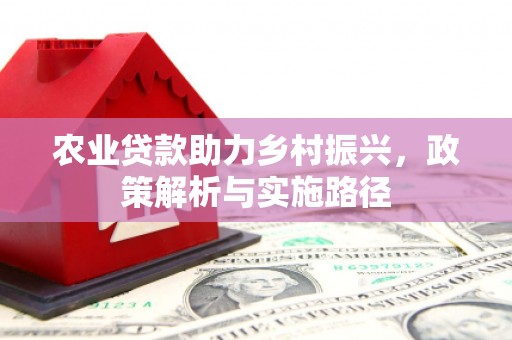 鸡冠农业贷款助力乡村振兴，政策解析与实施路径