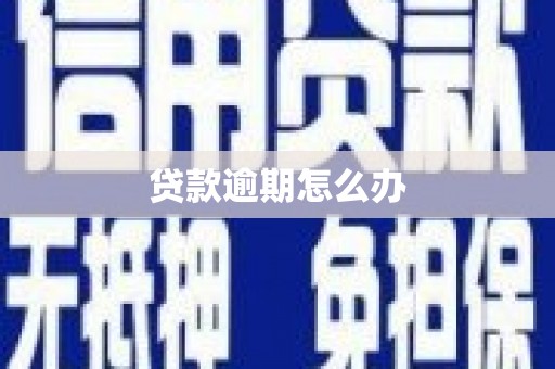 鸡冠贷款逾期怎么办