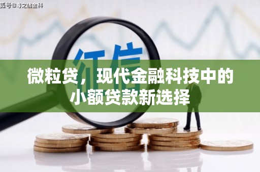 鸡冠微粒贷，现代金融科技中的小额贷款新选择