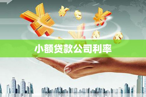 鸡冠小额贷款公司利率
