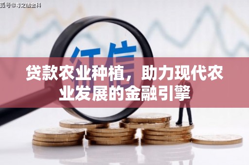 鸡冠贷款农业种植，助力现代农业发展的金融引擎