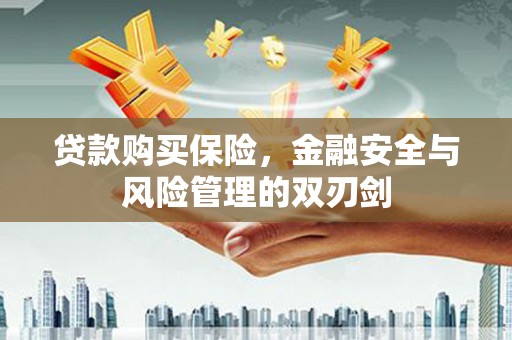 鸡冠贷款购买保险，金融安全与风险管理的双刃剑