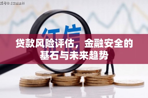 鸡冠贷款风险评估，金融安全的基石与未来趋势