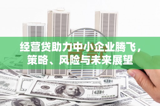 鸡冠经营贷助力中小企业腾飞，策略、风险与未来展望
