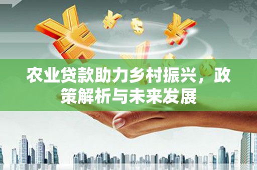 鸡冠农业贷款助力乡村振兴，政策解析与未来发展