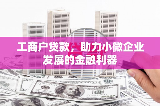 鸡冠工商户贷款，助力小微企业发展的金融利器