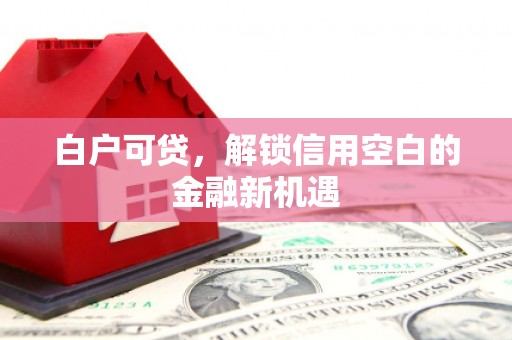 鸡冠白户可贷，解锁信用空白的金融新机遇
