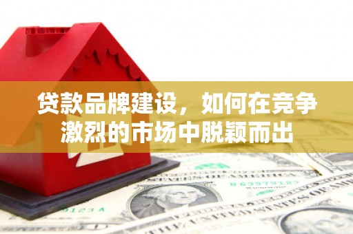 鸡冠贷款品牌建设，如何在竞争激烈的市场中脱颖而出