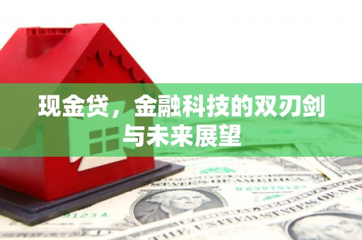 鸡冠现金贷，金融科技的双刃剑与未来展望
