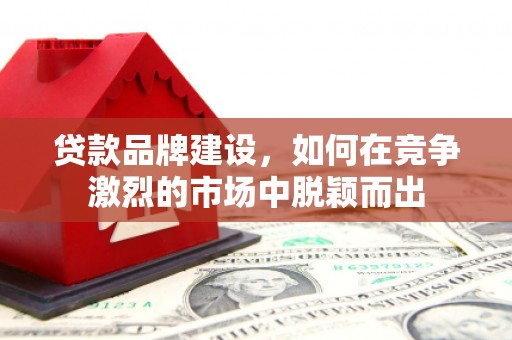 鸡冠贷款品牌建设，如何在竞争激烈的市场中脱颖而出