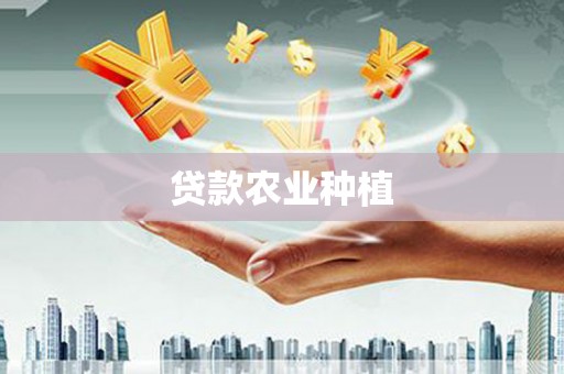 鸡冠贷款农业种植