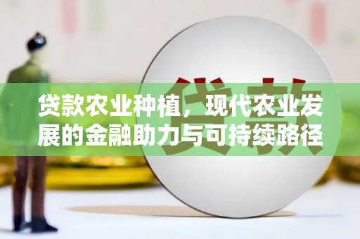 鸡冠贷款农业种植，现代农业发展的金融助力与可持续路径