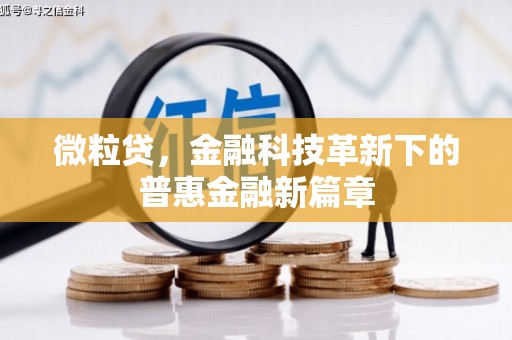 鸡冠微粒贷，金融科技革新下的普惠金融新篇章