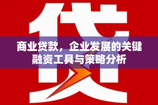 鸡冠商业贷款，企业发展的关键融资工具与策略分析