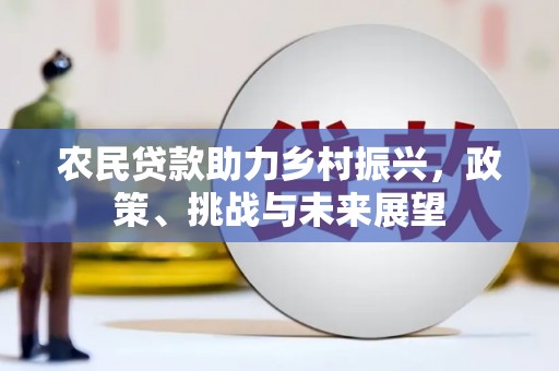 鸡冠农民贷款助力乡村振兴，政策、挑战与未来展望