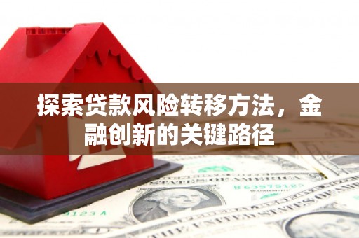 鸡冠探索贷款风险转移方法，金融创新的关键路径