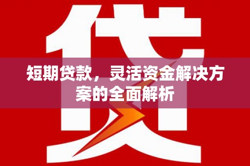 鸡冠短期贷款，灵活资金解决方案的全面解析