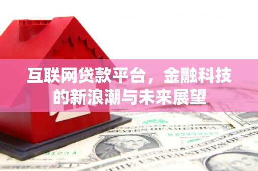 鸡冠互联网贷款平台，金融科技的新浪潮与未来展望