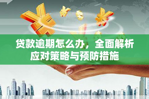 鸡冠贷款逾期怎么办，全面解析应对策略与预防措施