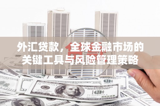 鸡冠外汇贷款，全球金融市场的关键工具与风险管理策略