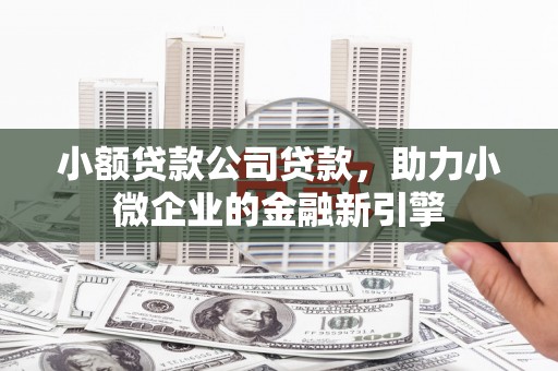 鸡冠小额贷款公司贷款，助力小微企业的金融新引擎