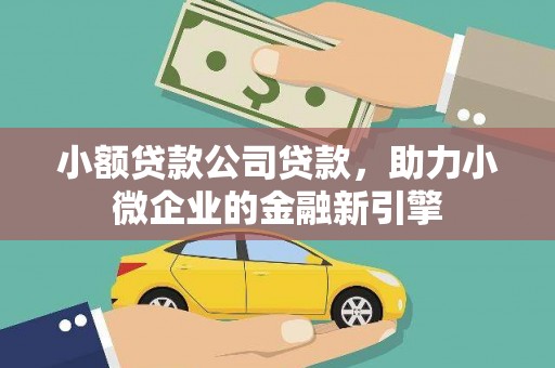 鸡冠小额贷款公司贷款，助力小微企业的金融新引擎