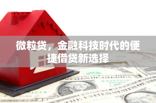 鸡冠微粒贷，金融科技时代的便捷借贷新选择