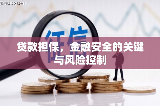 鸡冠贷款担保，金融安全的关键与风险控制