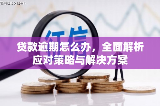 鸡冠贷款逾期怎么办，全面解析应对策略与解决方案