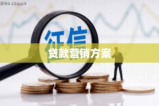 鸡冠贷款营销方案